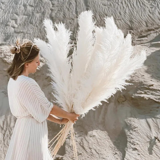Bohemian Pampas Feathers - Stylish Natural Decoration 0