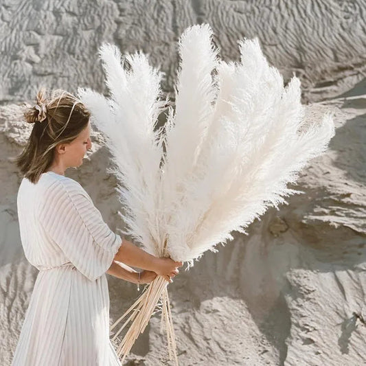 Bohemian Pampas Feathers - Stylish Natural Decoration 0