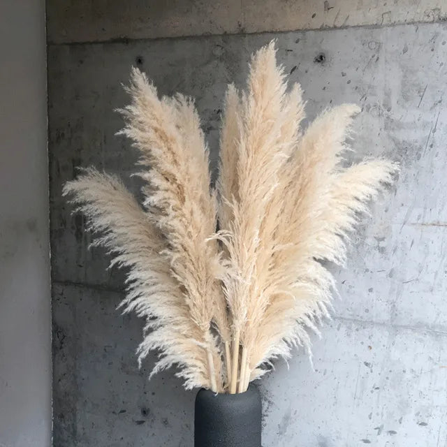 Bohemian Pampas Feathers - Stylish Natural Decoration 2