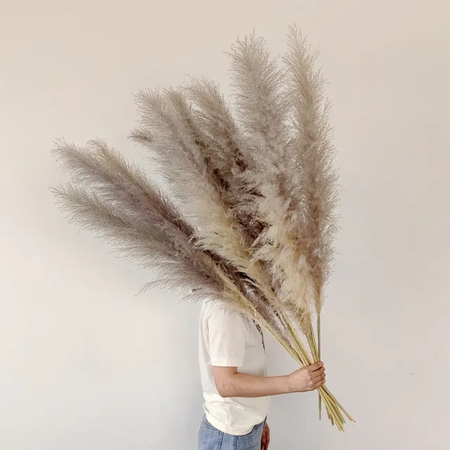 Bohemian Pampas Feathers - Stylish Natural Decoration 3