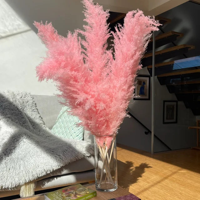 Bohemian Pampas Feathers - Stylish Natural Decoration 4
