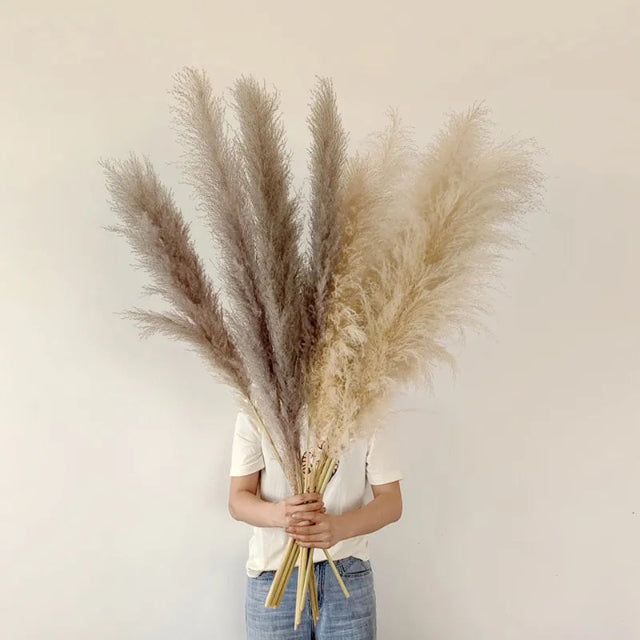 Bohemian Pampas Feathers - Stylish Natural Decoration 5