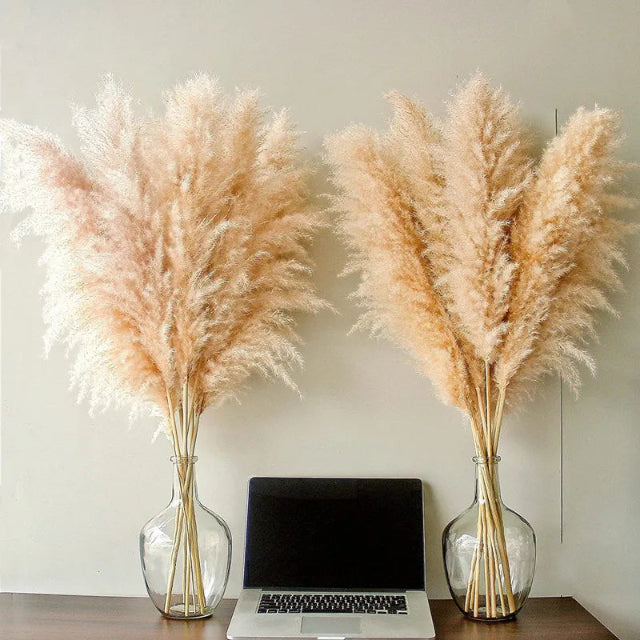 Bohemian Pampas Feathers - Stylish Natural Decoration 6