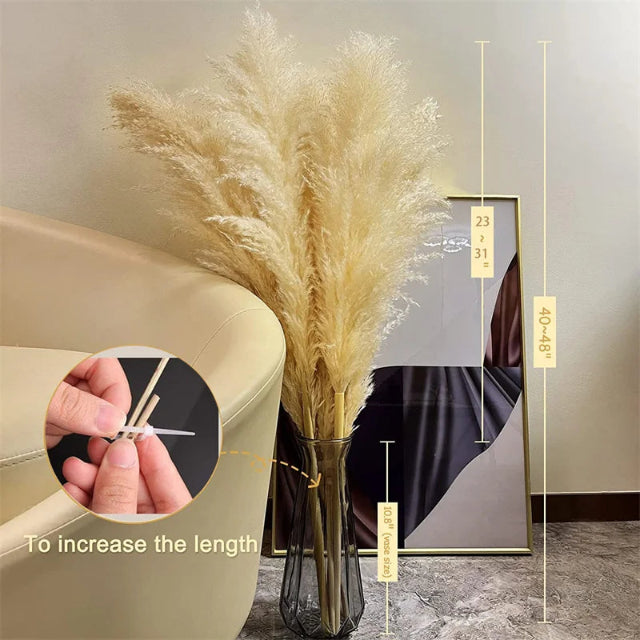 Bohemian Pampas Feathers - Stylish Natural Decoration 7