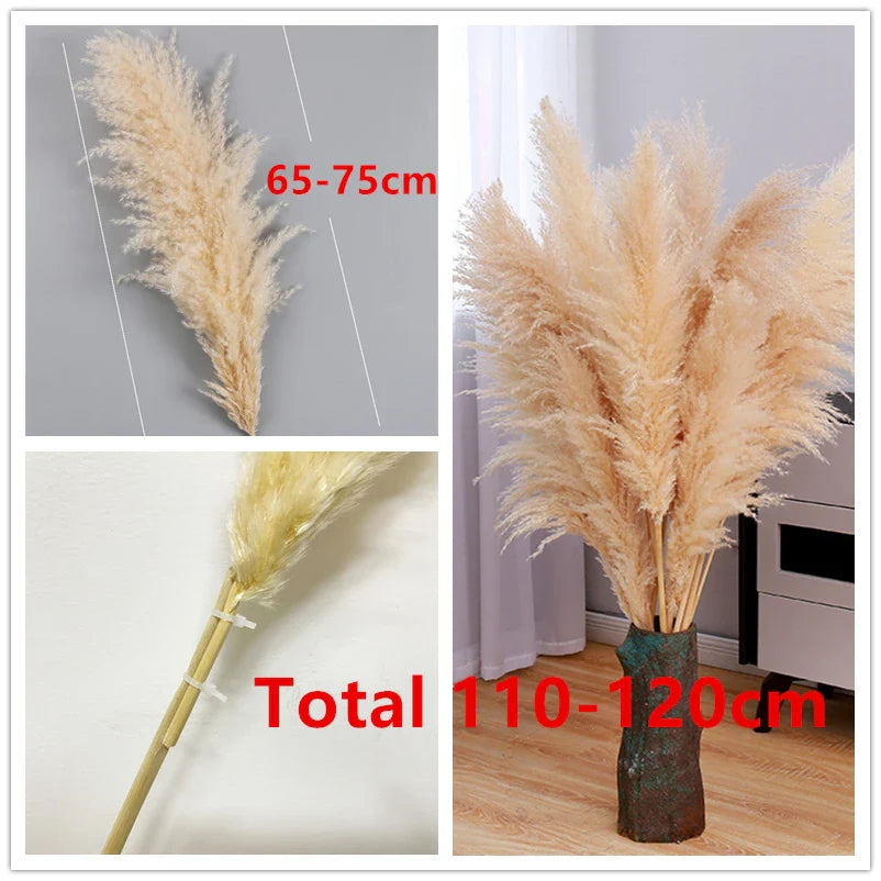 Bohemian Pampas Feathers - Stylish Natural Decoration 8