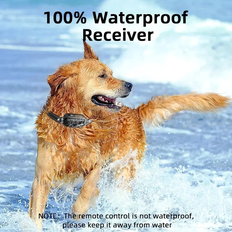 ProTrain – Rechargeable Waterproof Dog Training Collar 6
