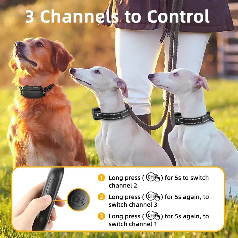 ProTrain – Rechargeable Waterproof Dog Training Collar 7